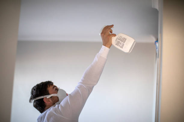 Professional Mold Removal in Eagle Pass, TX
